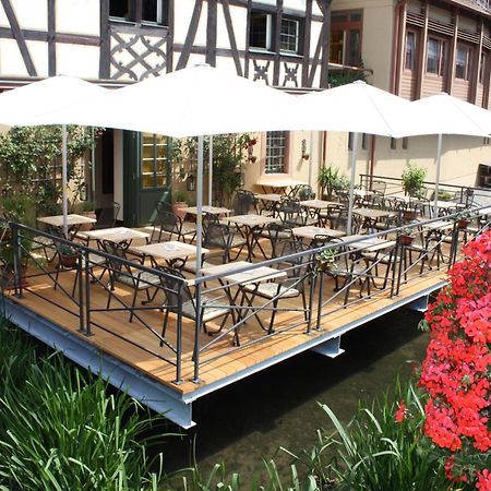 Walk'Sches Haus Weingarten (Baden) Exterior foto
